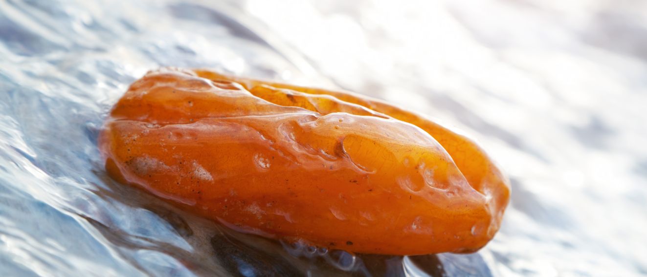Ambre : Signification, Vertus et Propriétés - Explorez la Chaleur Dorée de cette Pierre Énigmatique